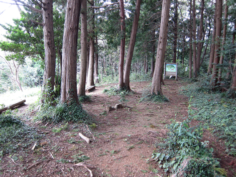 20191017hike (41)